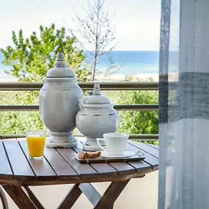 https://akti-retzika.hotelschalkidiki.net